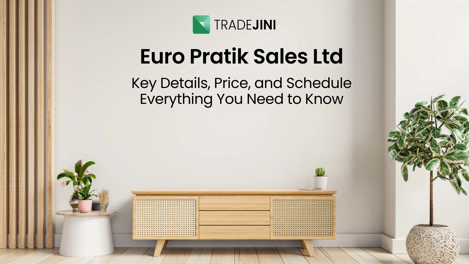 Euro Pratik IPO: A Comprehensive Guide to Euro Pratik Sales Limited Mainboard IPO