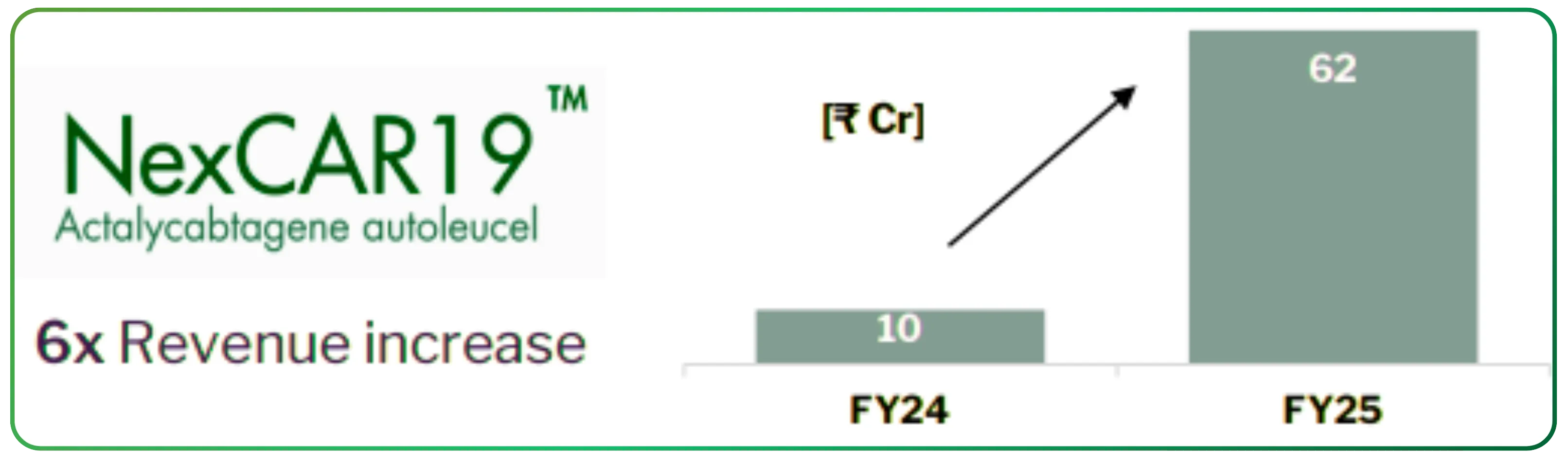 A Year of Execution and Strategic Transformation at Laurus Labs Ltd.