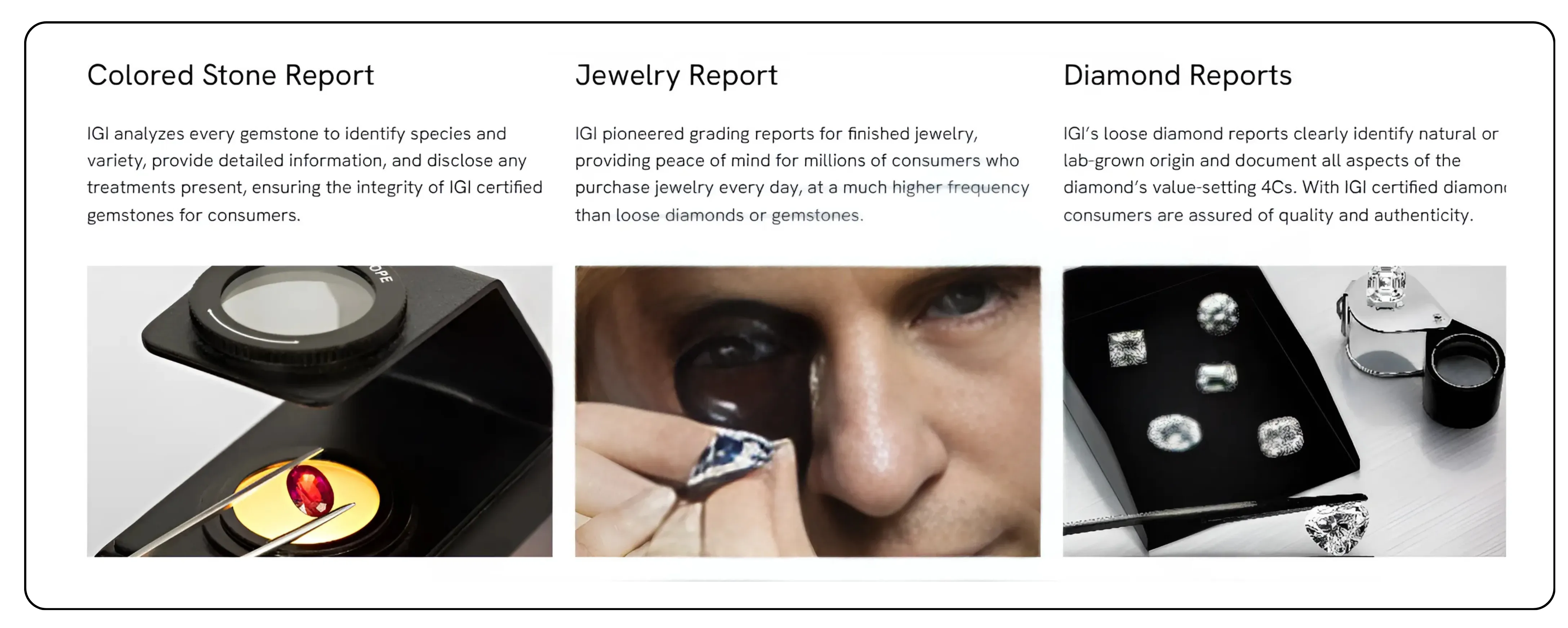 IGI India – A Unique Niche Business with Industry Potential – Image 455