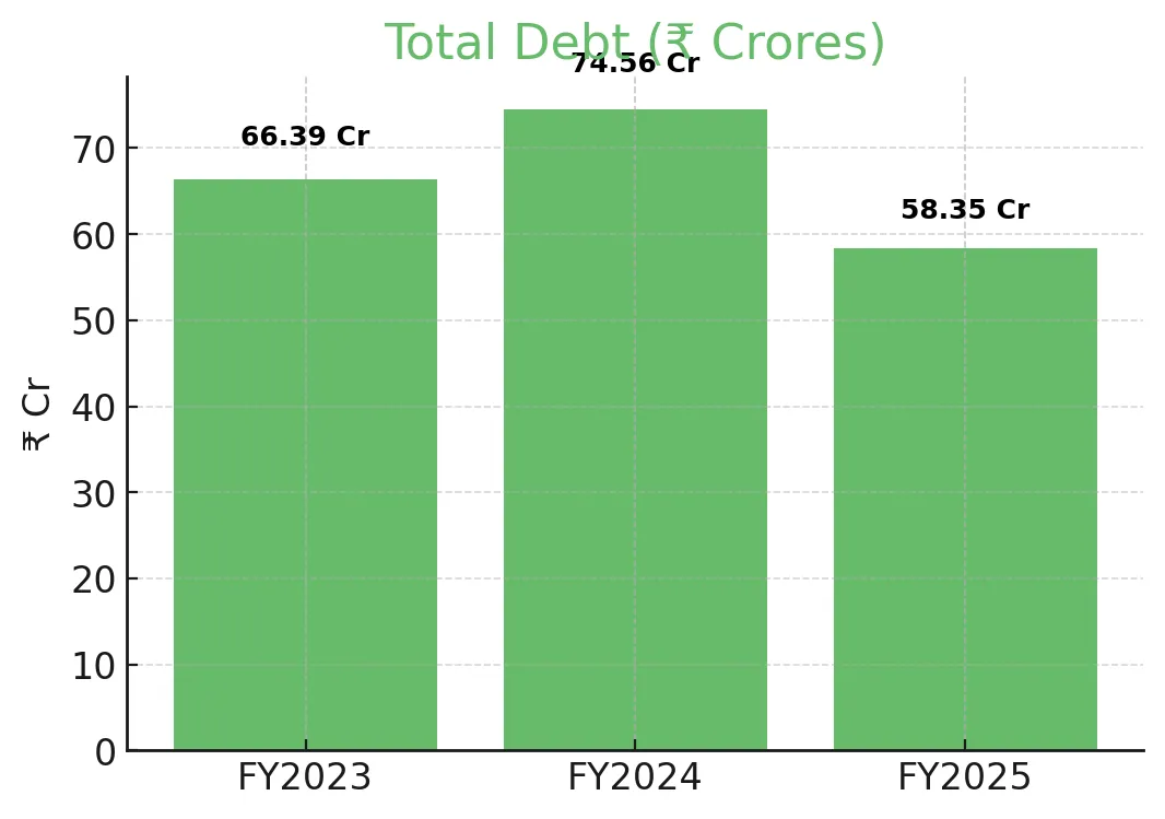 Anlon Healthcare IPO – Complete Analysis
