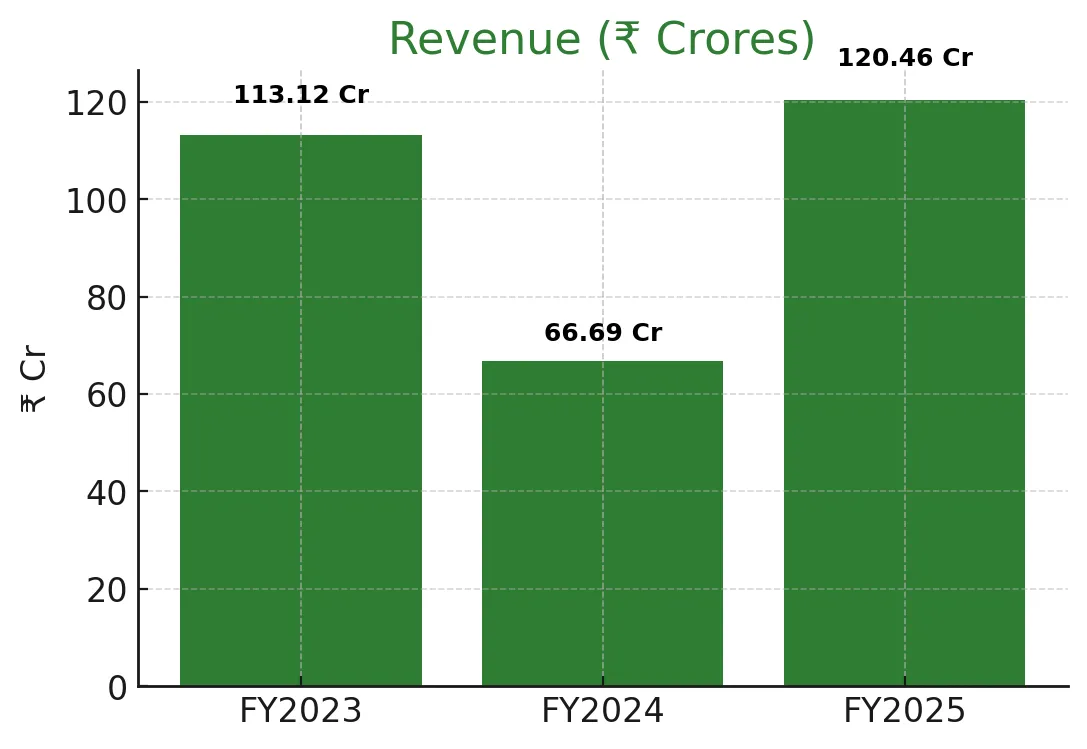 Anlon Healthcare IPO – Complete Analysis