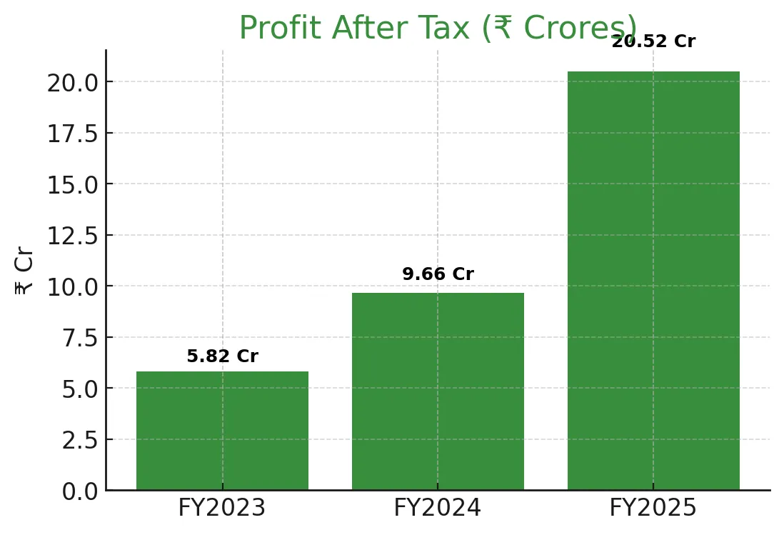 Anlon Healthcare IPO – Complete Analysis