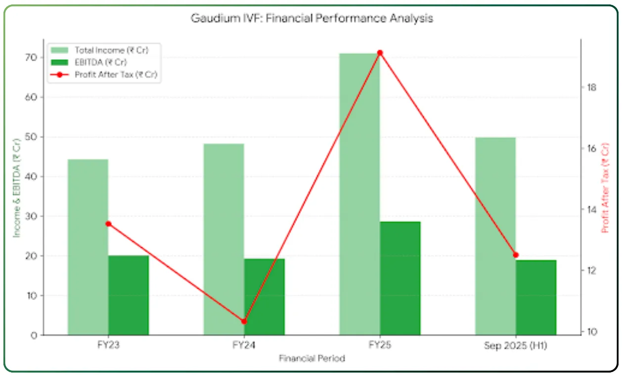 Gaudium IVF Women Health IPO : Expanding India’s Assisted Reproductive Technology Network