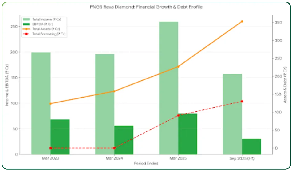PNGS Reva Diamond Jewellery IPO – Diamond Jewellery IPO for Retail Focused Jewellery Brand