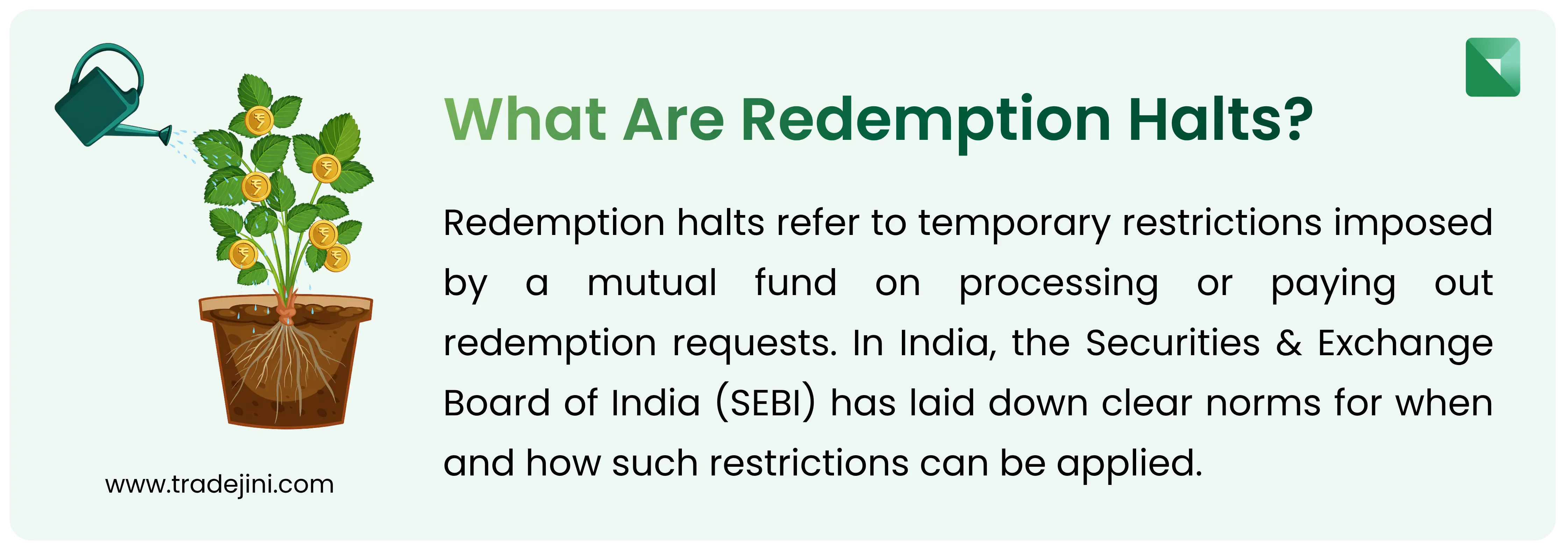 Understanding Mutual Fund Redemption Halts and Gating