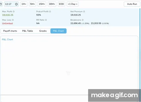 P&L Simulator in NXTOption Backtesting Guide