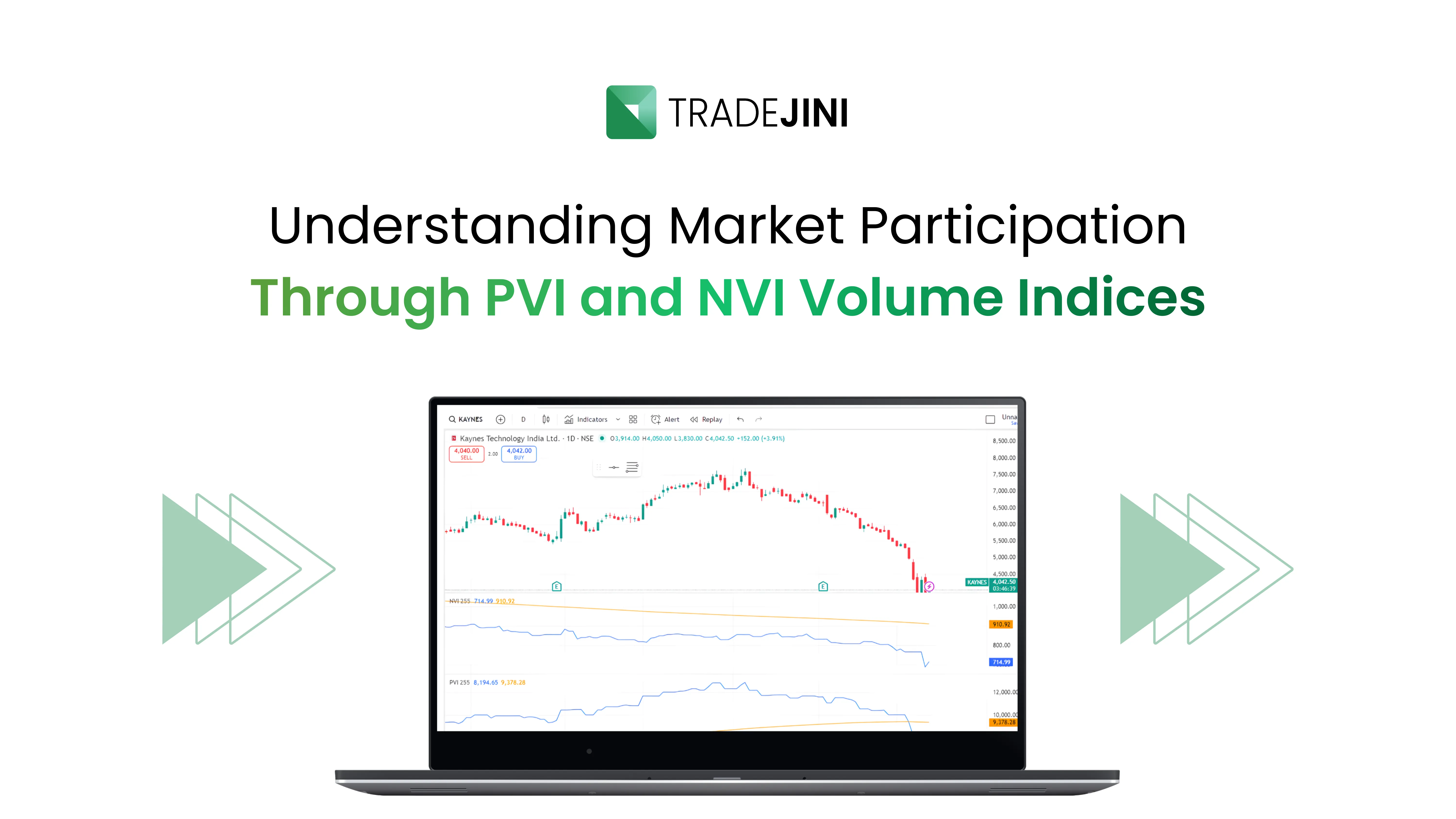 Understanding Market Participation Through PVI and NVI Volume Indices