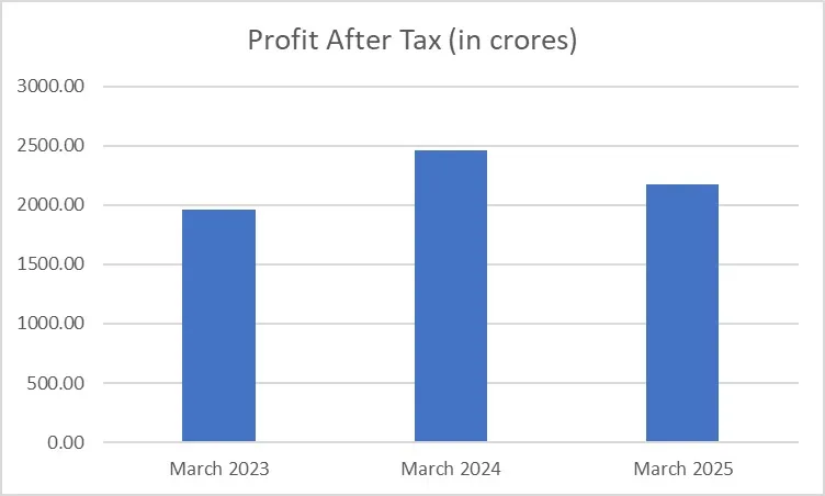 HDB Financial Services infrastructure and business presence