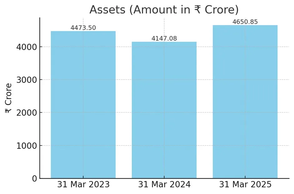Smartworks IPO investor insights and financial overview