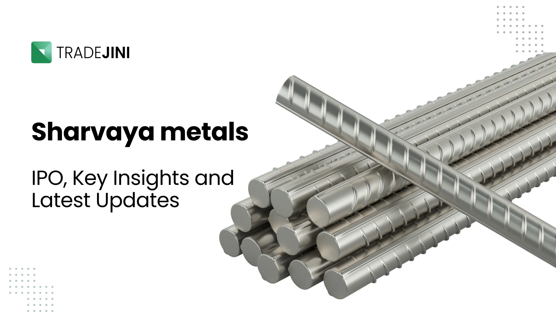 Sharvaya Metals Limited IPO overview