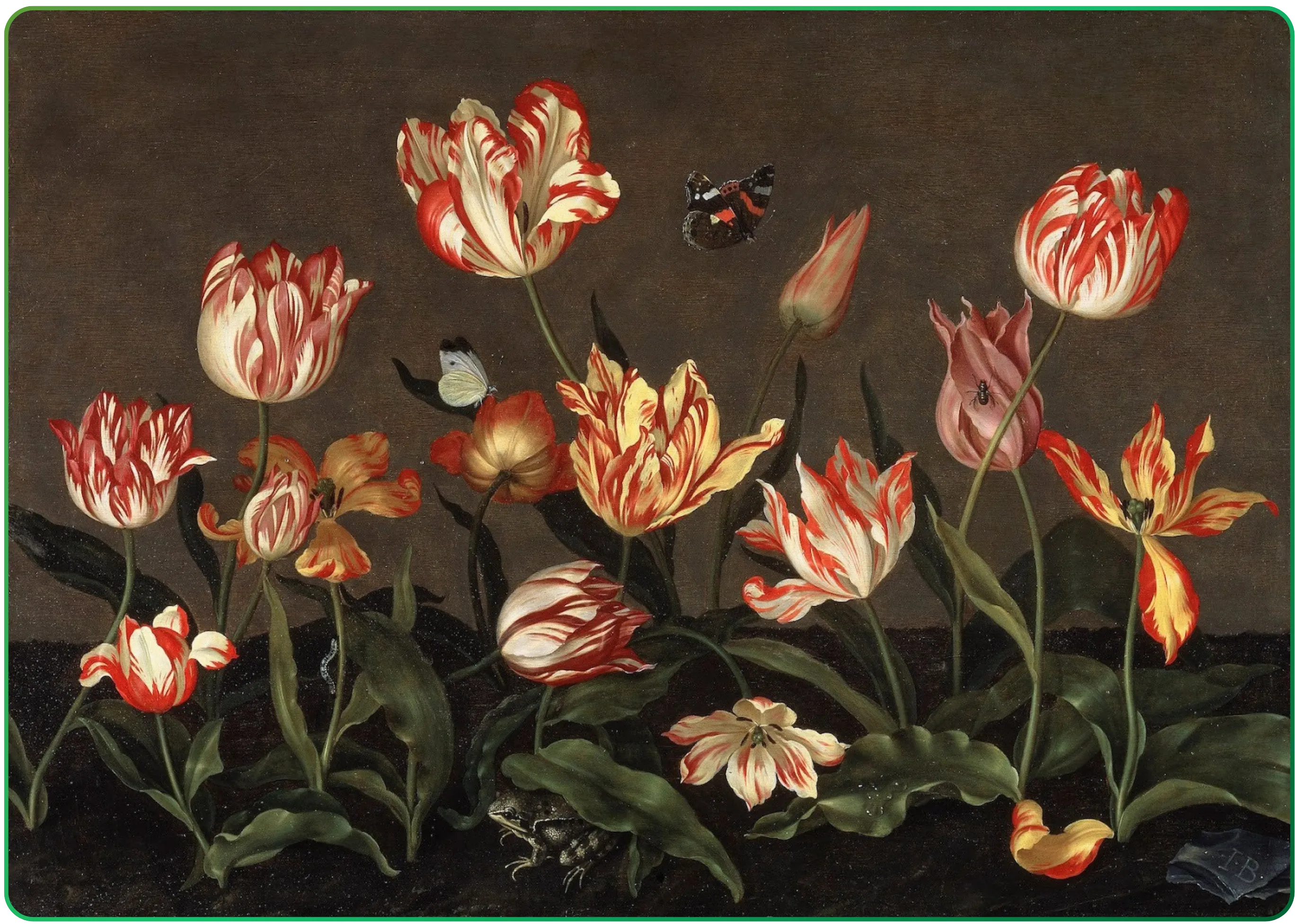 Tulip Mania and the Birth of Financial Bubbles