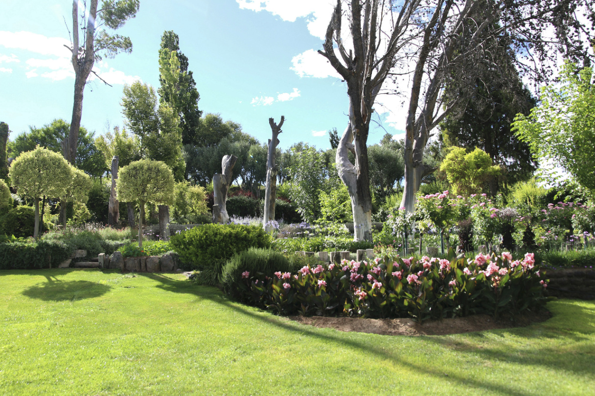 GreenScape Solutions cover image