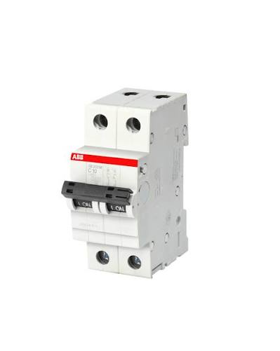 disjoncteur miniature ABB SB202M-C6