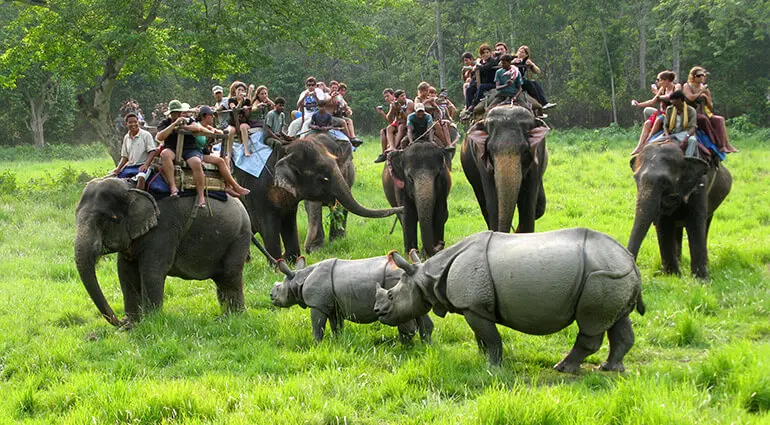 Chitwan National Park Wildlife Safari