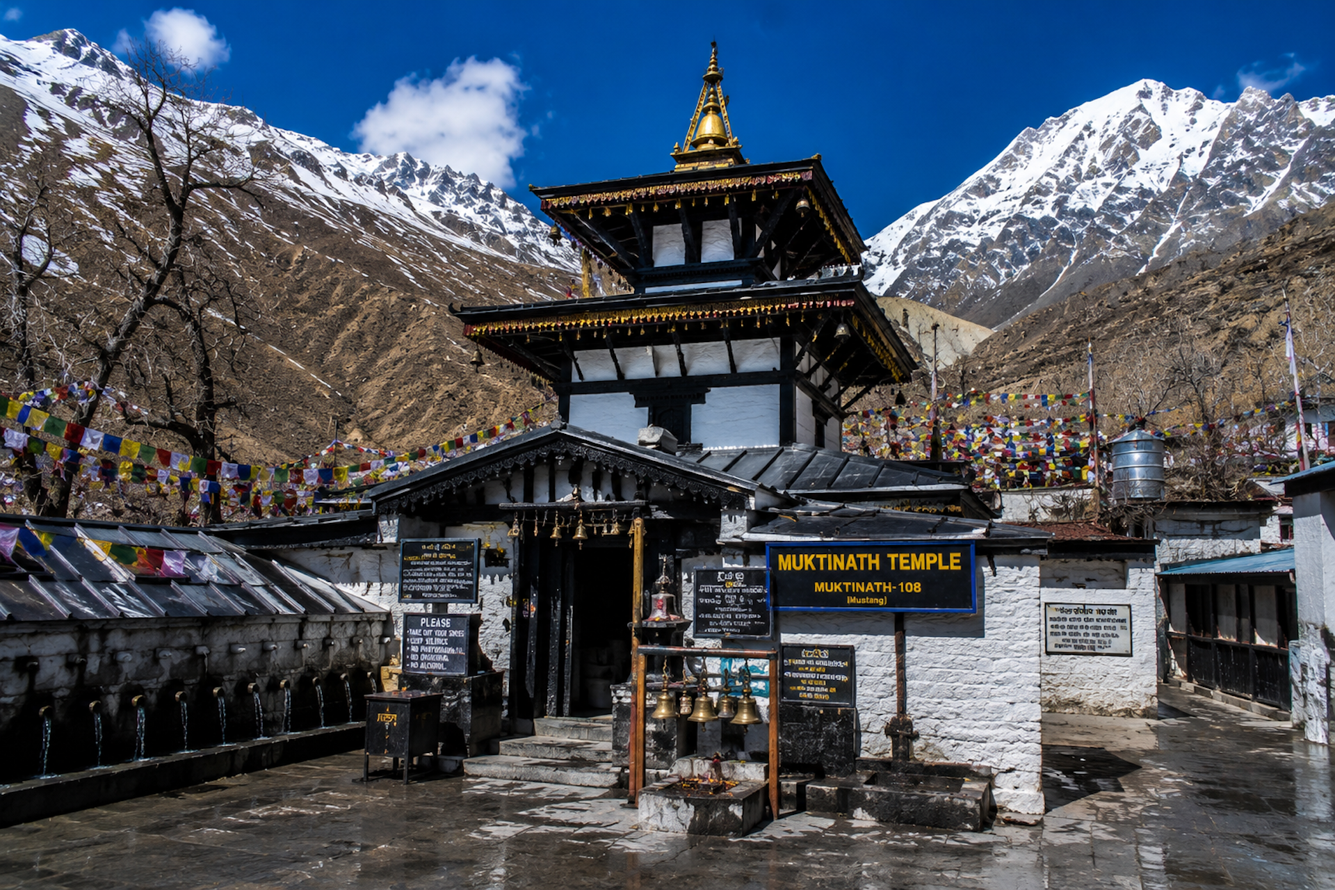 Muktinath Darshan