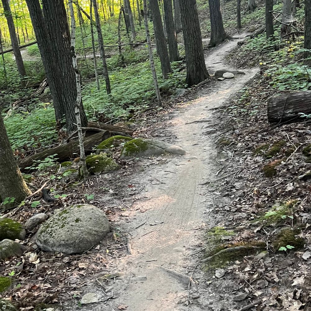 Trail status picture