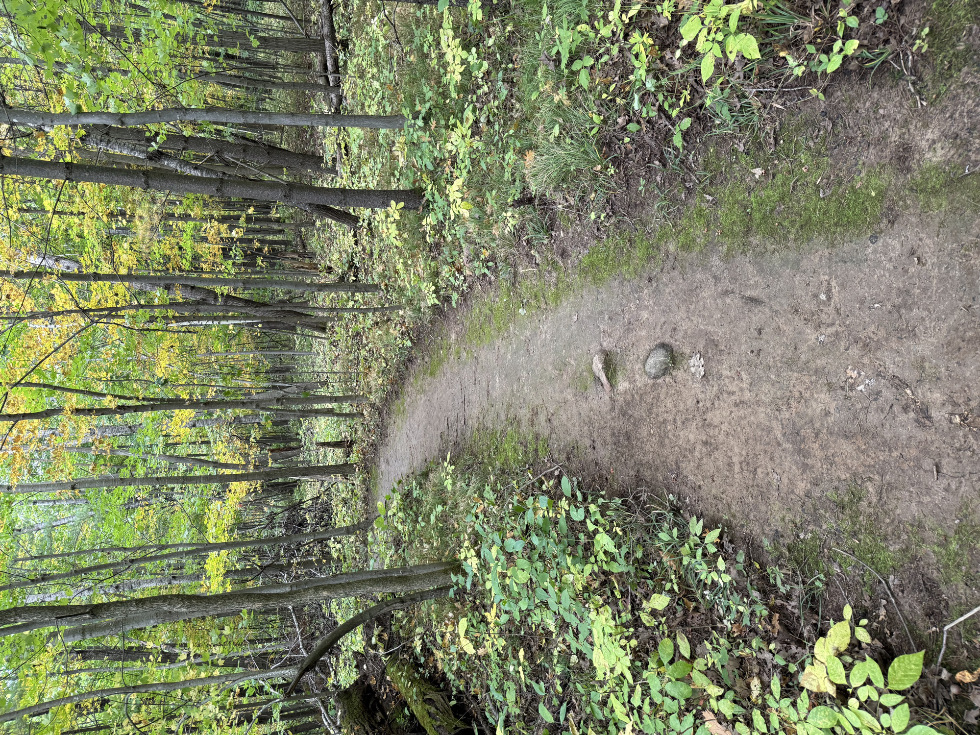 Trail status picture