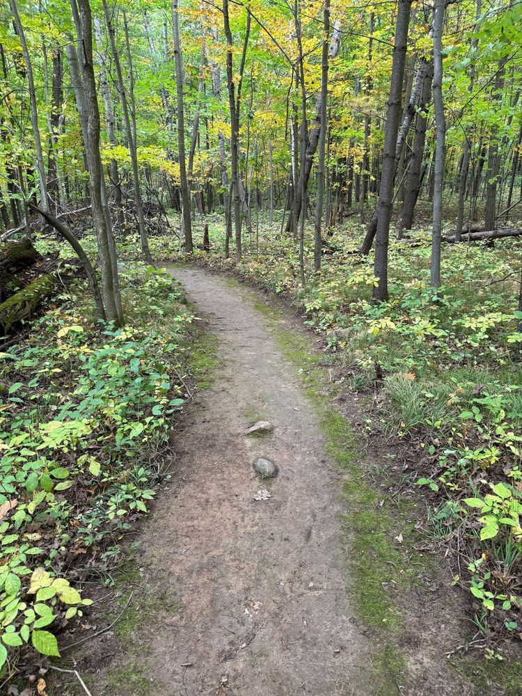 Trail status picture