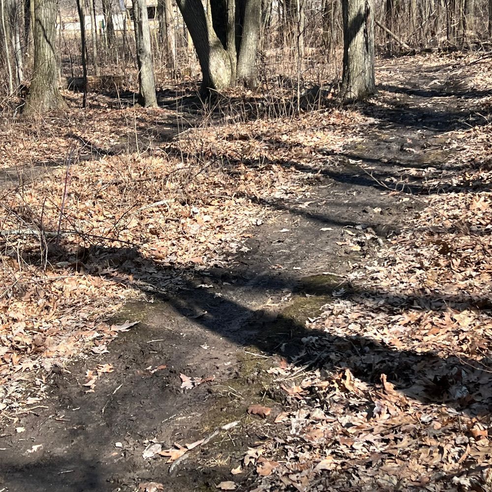 Trail status picture