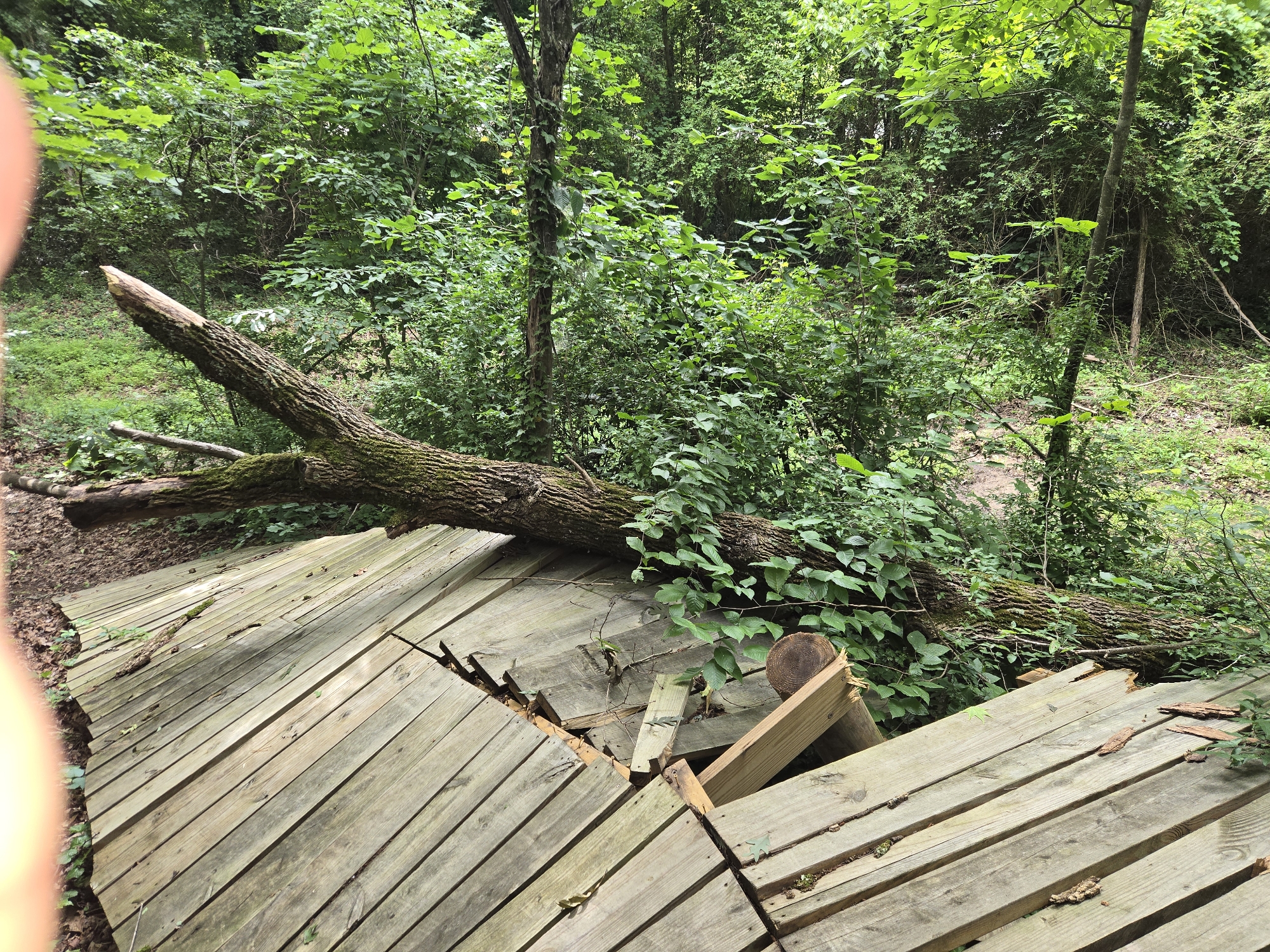 Trail status picture