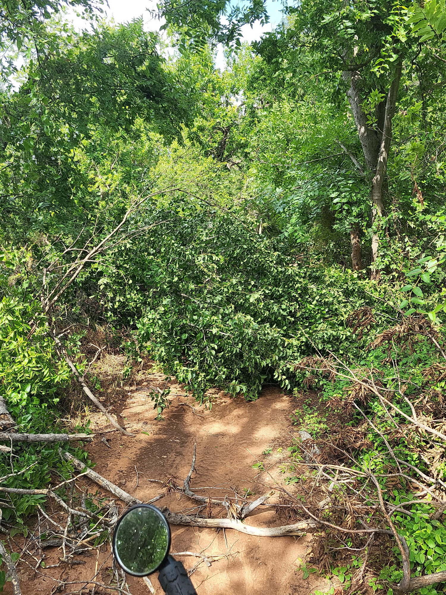 Trail status picture