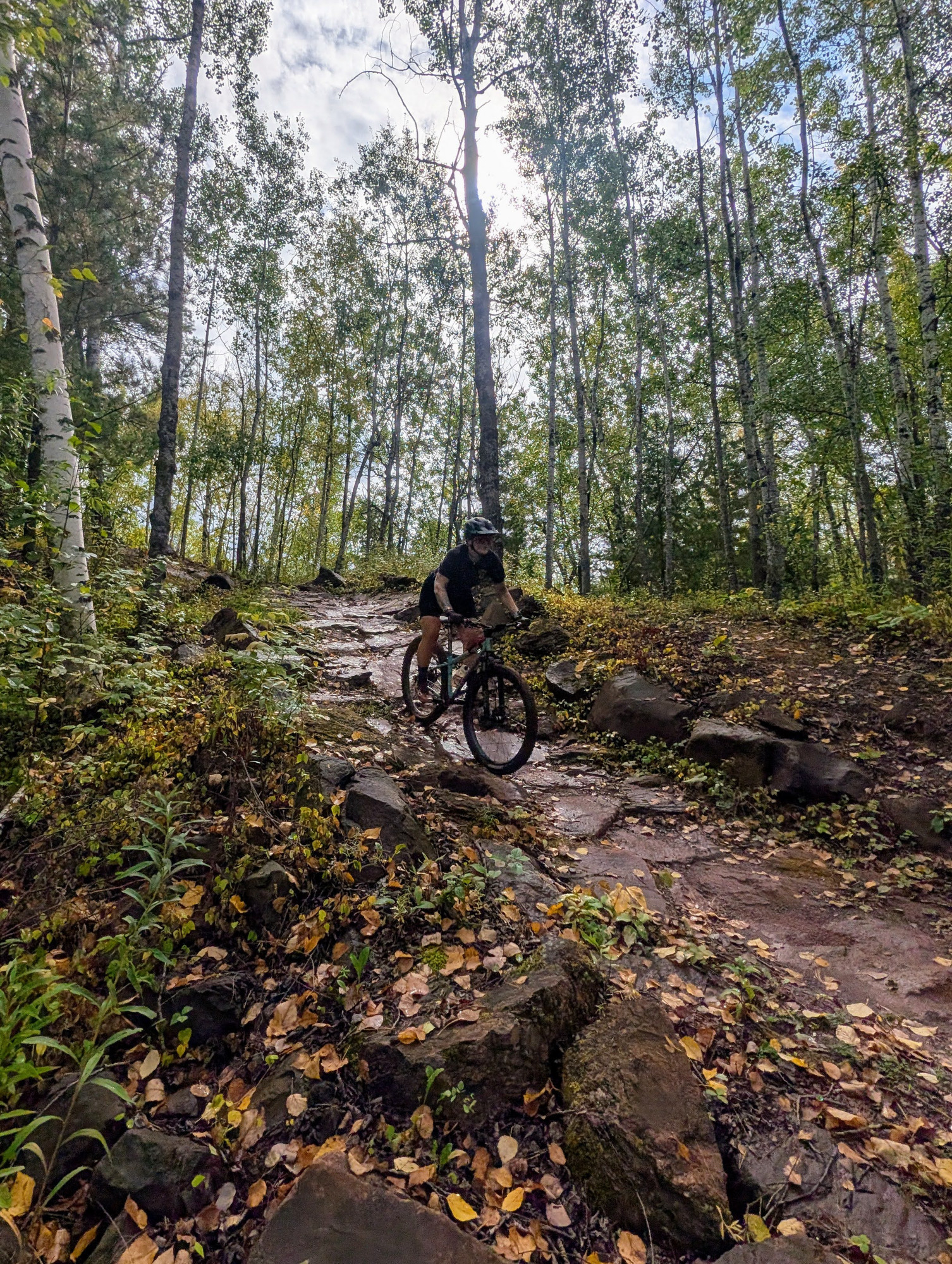 Trail status picture