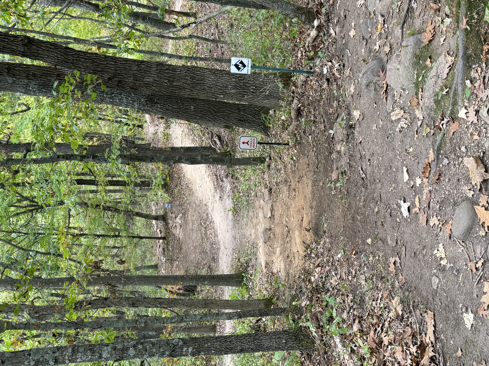 Trail status picture