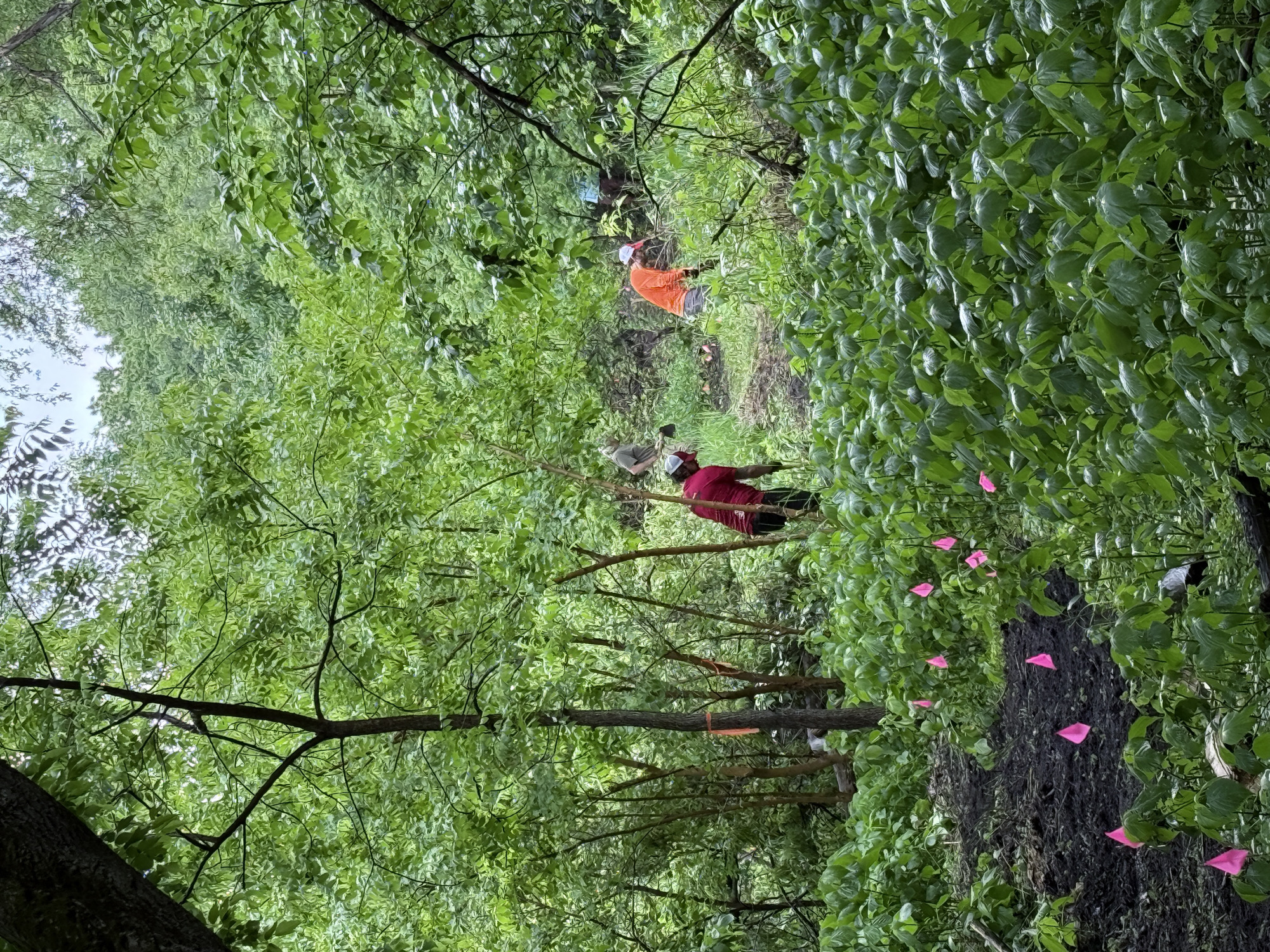 Trail status picture