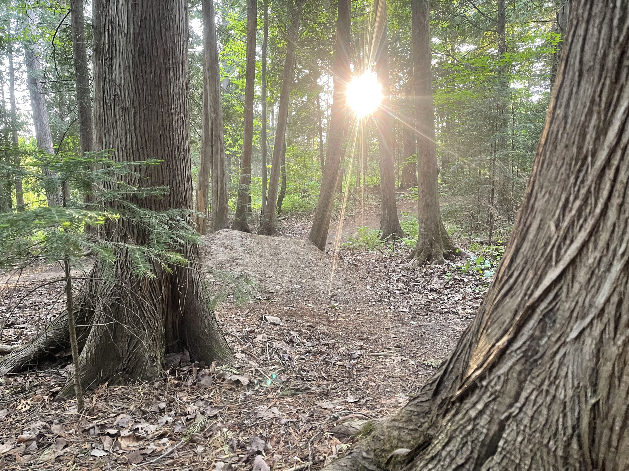 Trail status picture