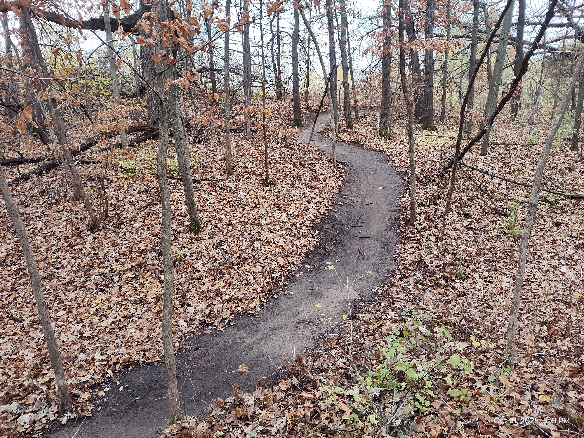 Trail status picture