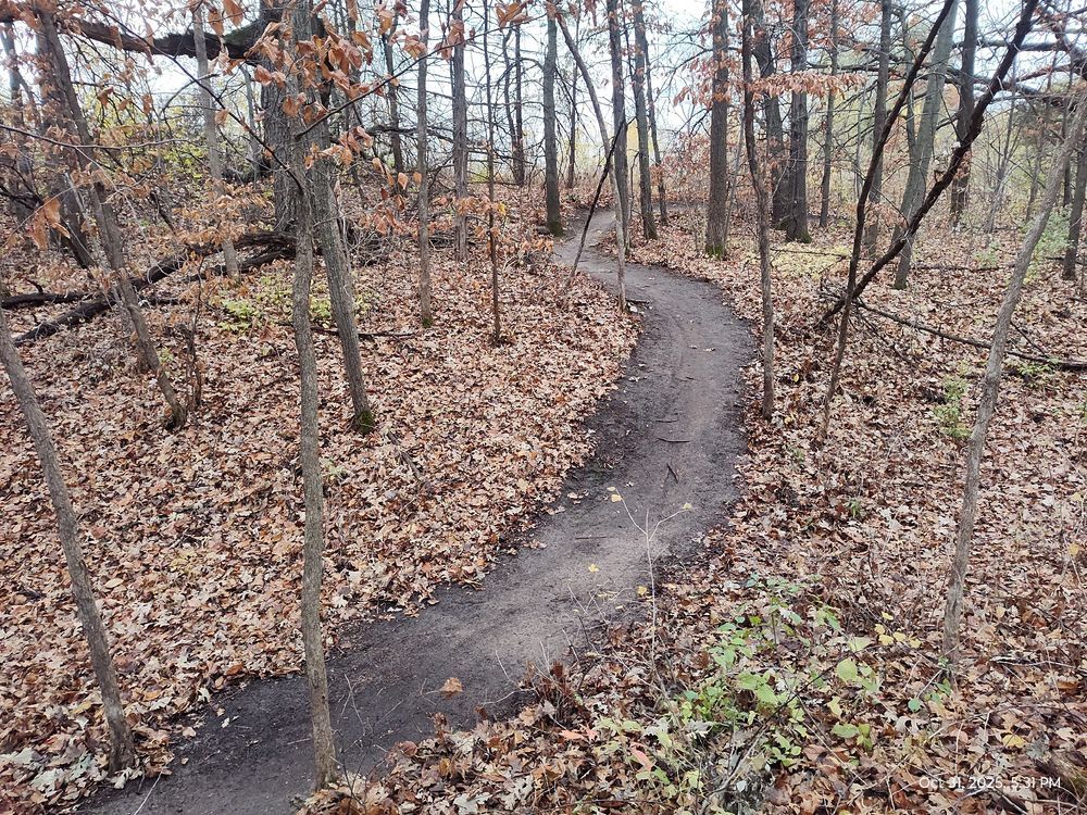 Trail status picture