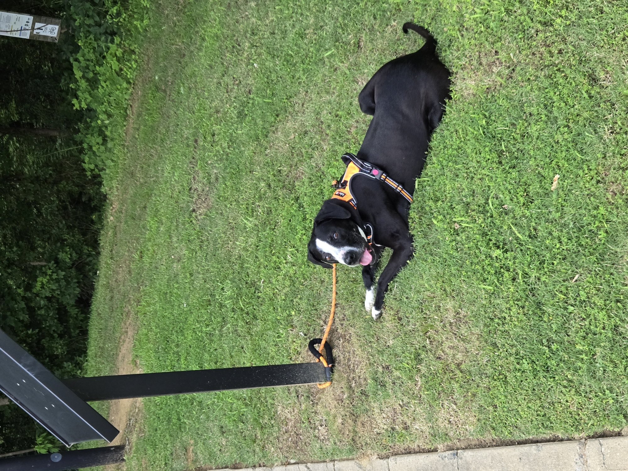 Trail status picture