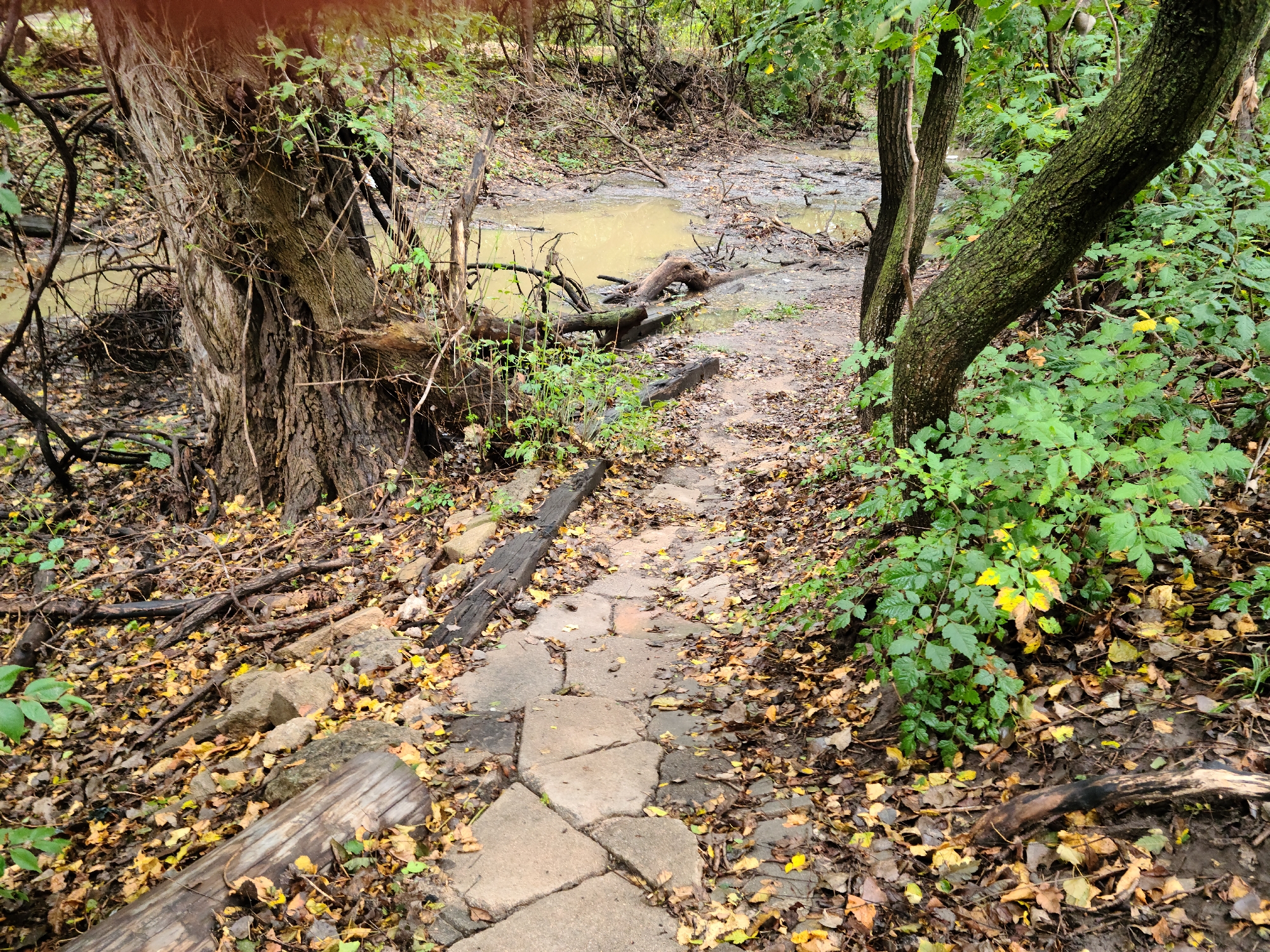 Trail status picture