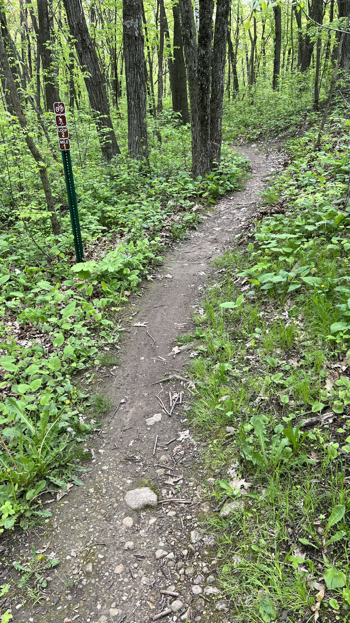 Trail status picture