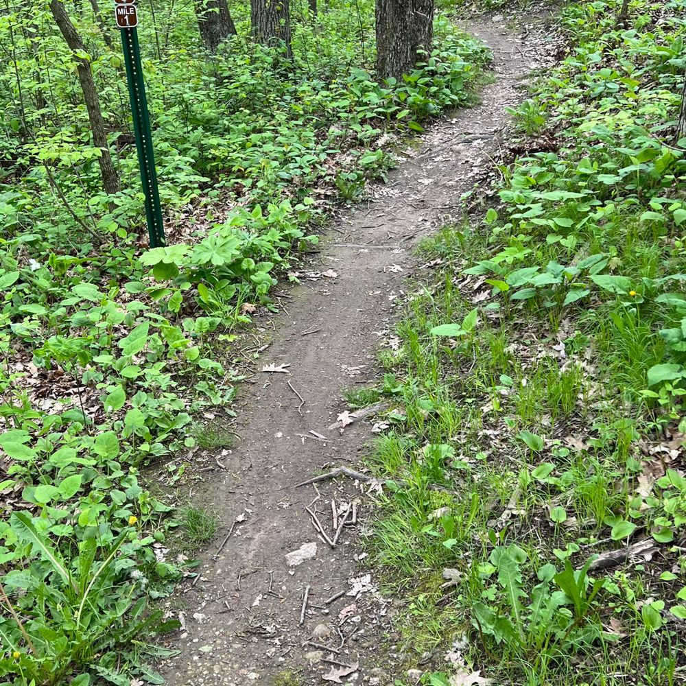 Trail status picture