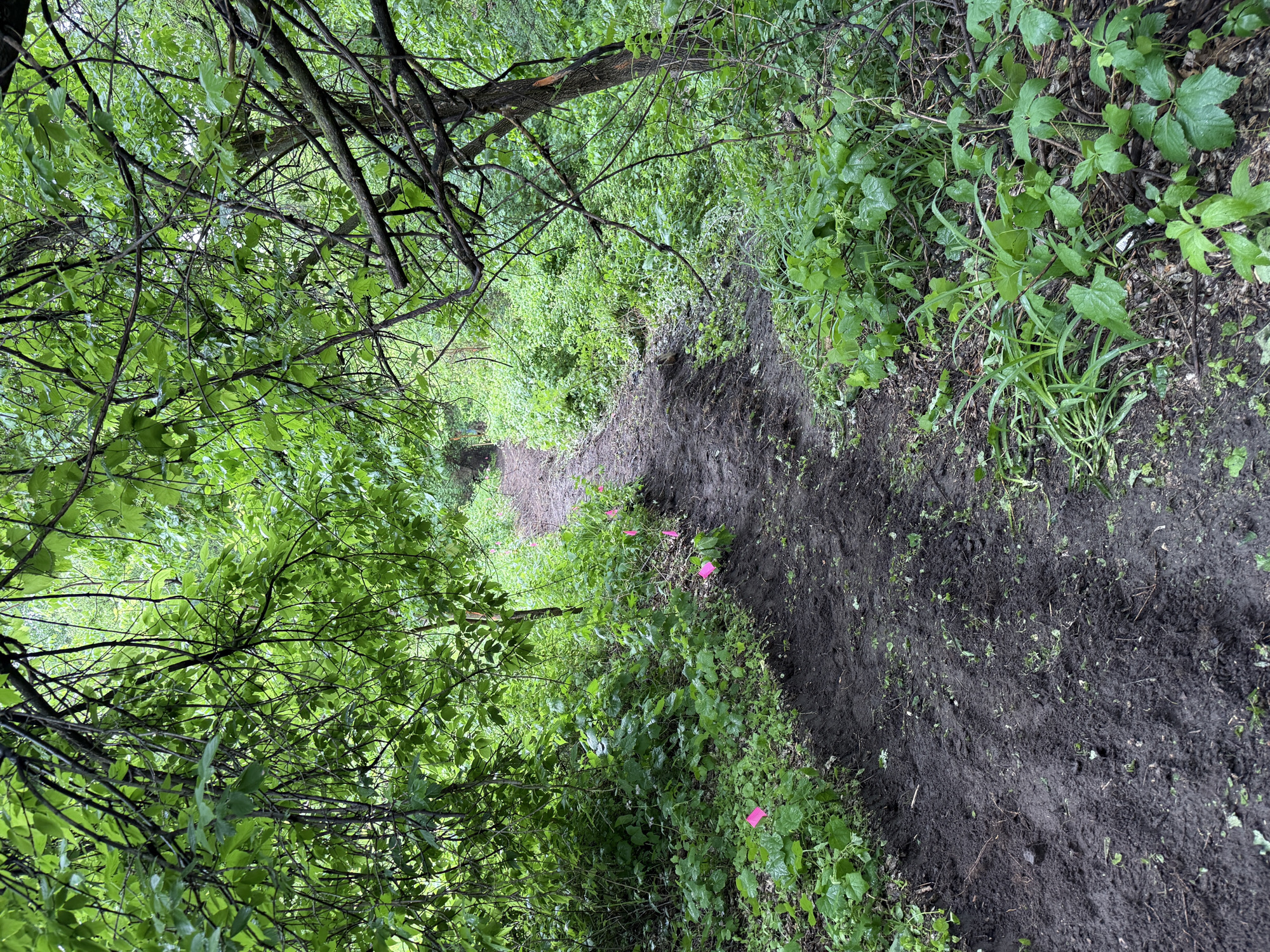 Trail status picture