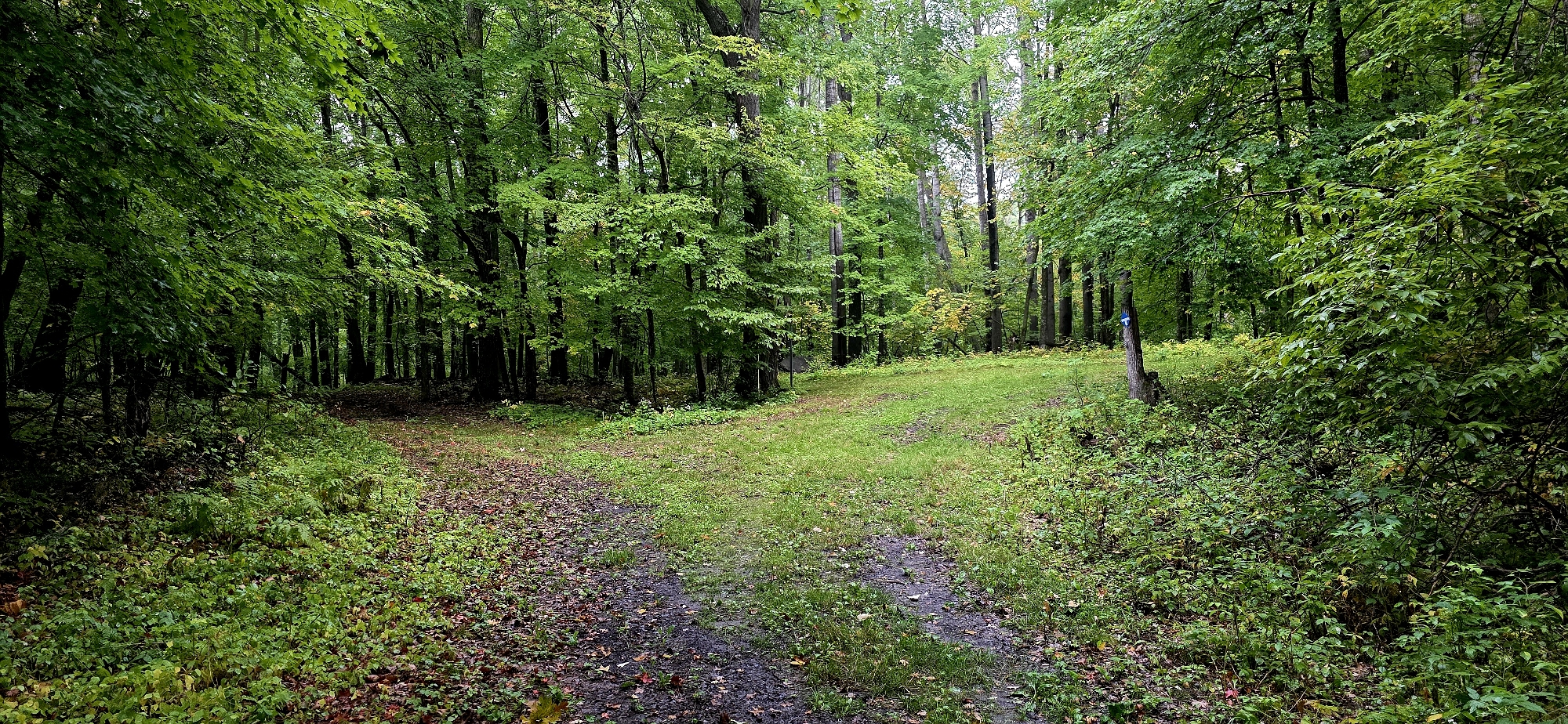 Trail status picture