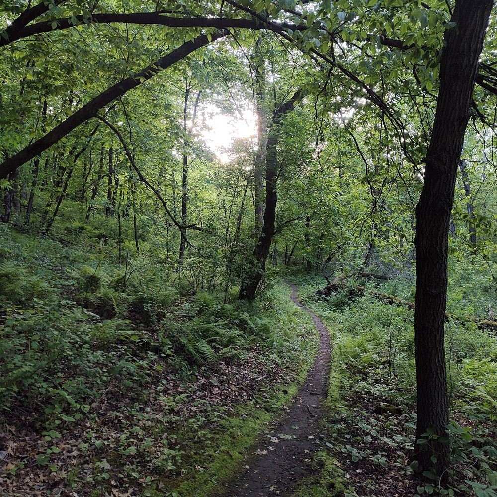 Trail status picture