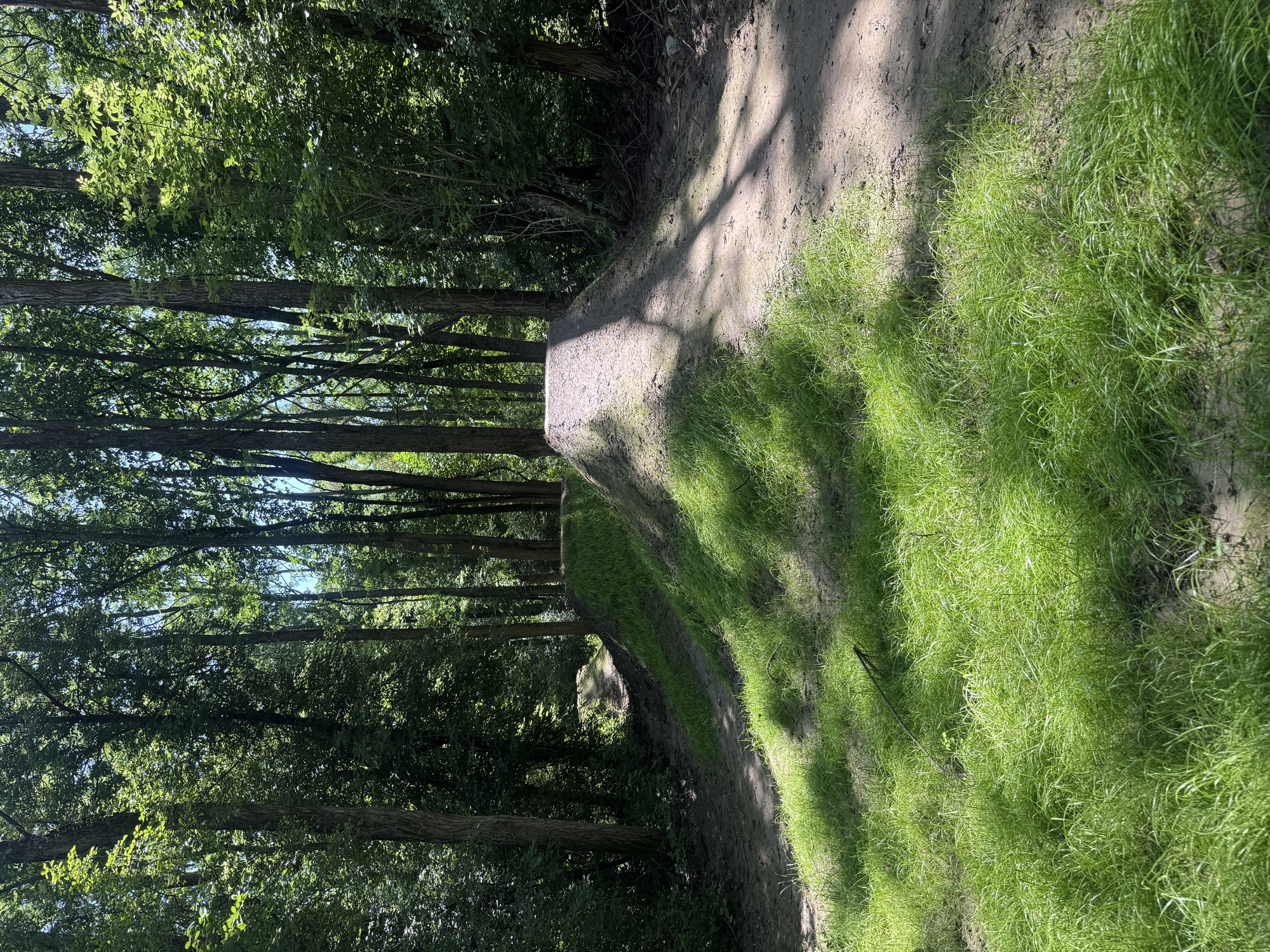 Trail status picture