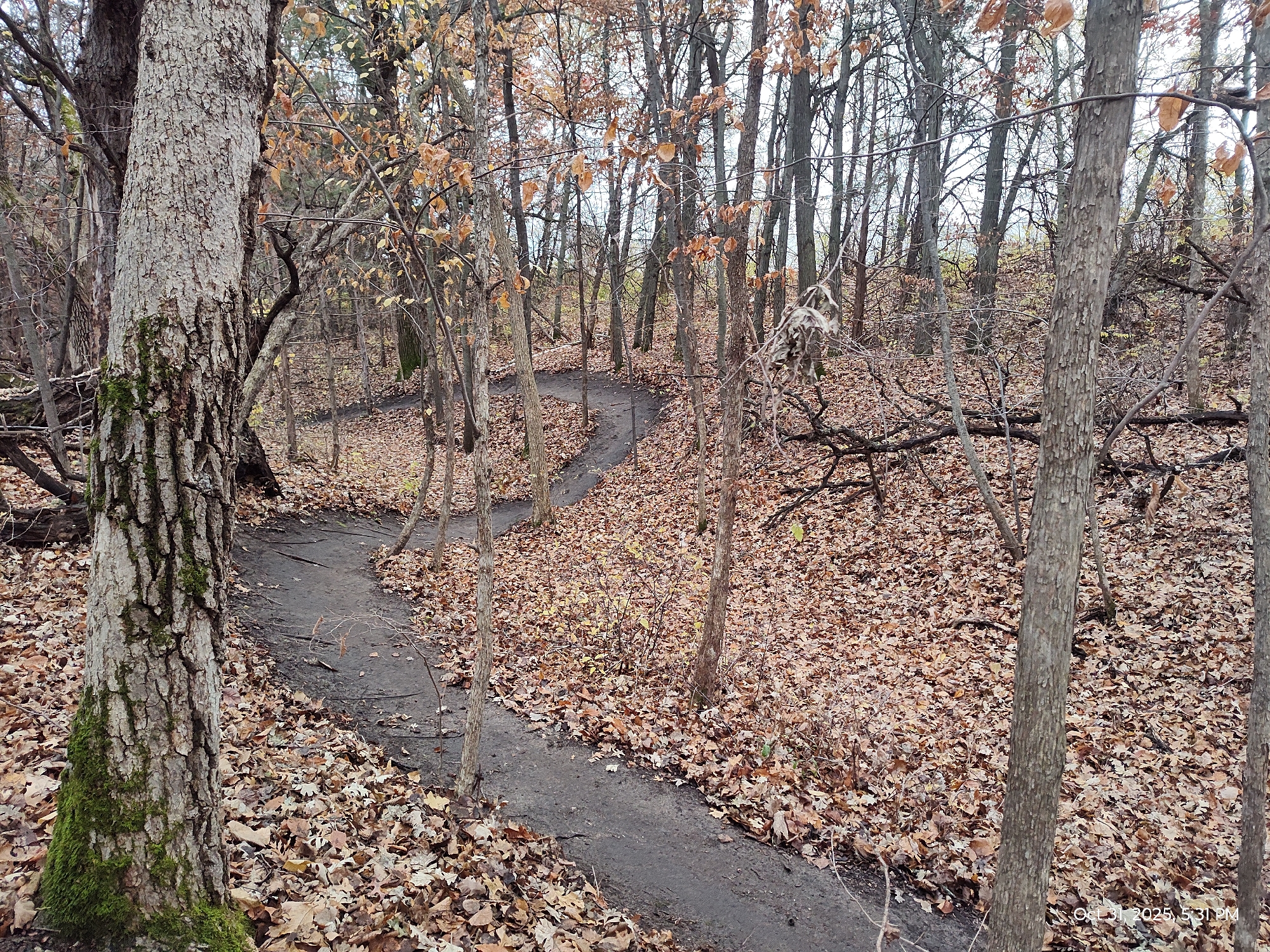 Trail status picture