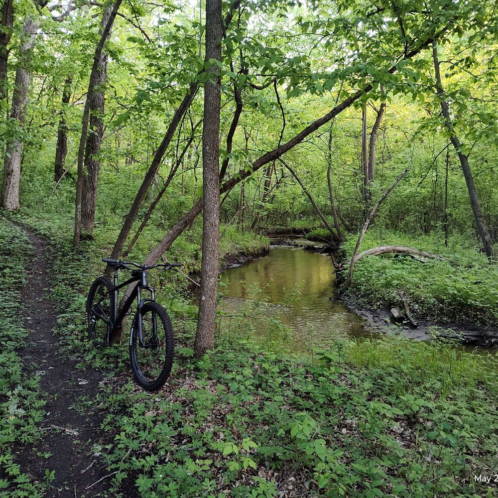Trail status picture