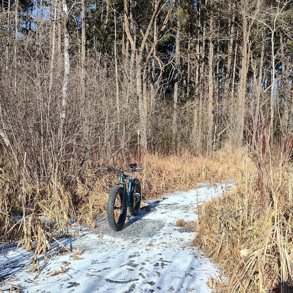 Trail status picture