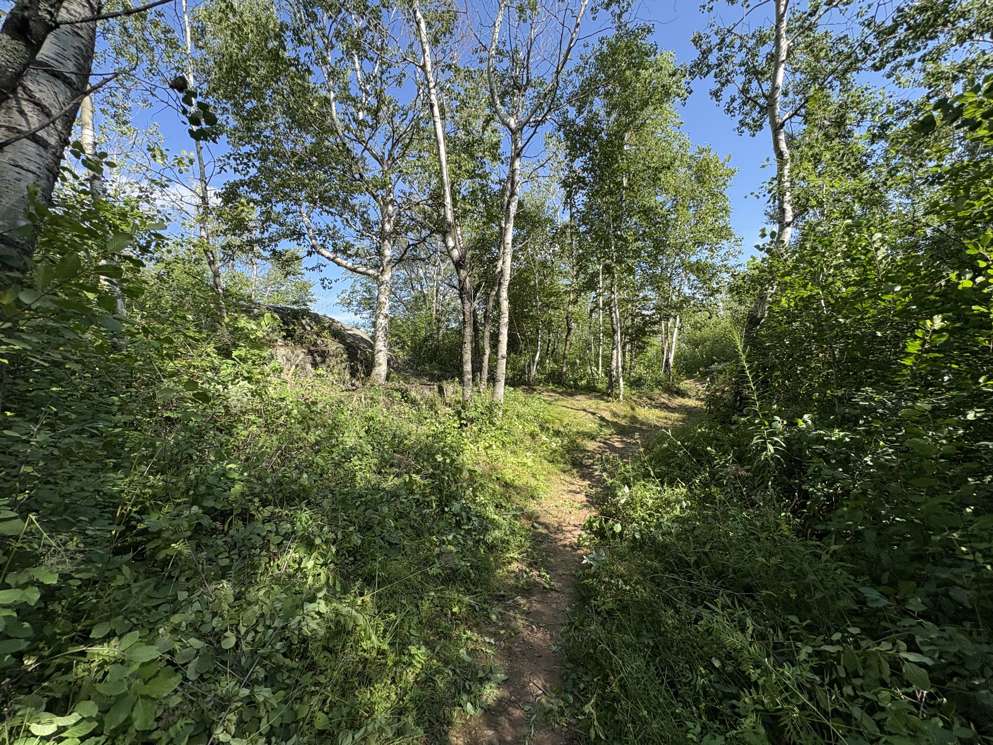 Trail status picture