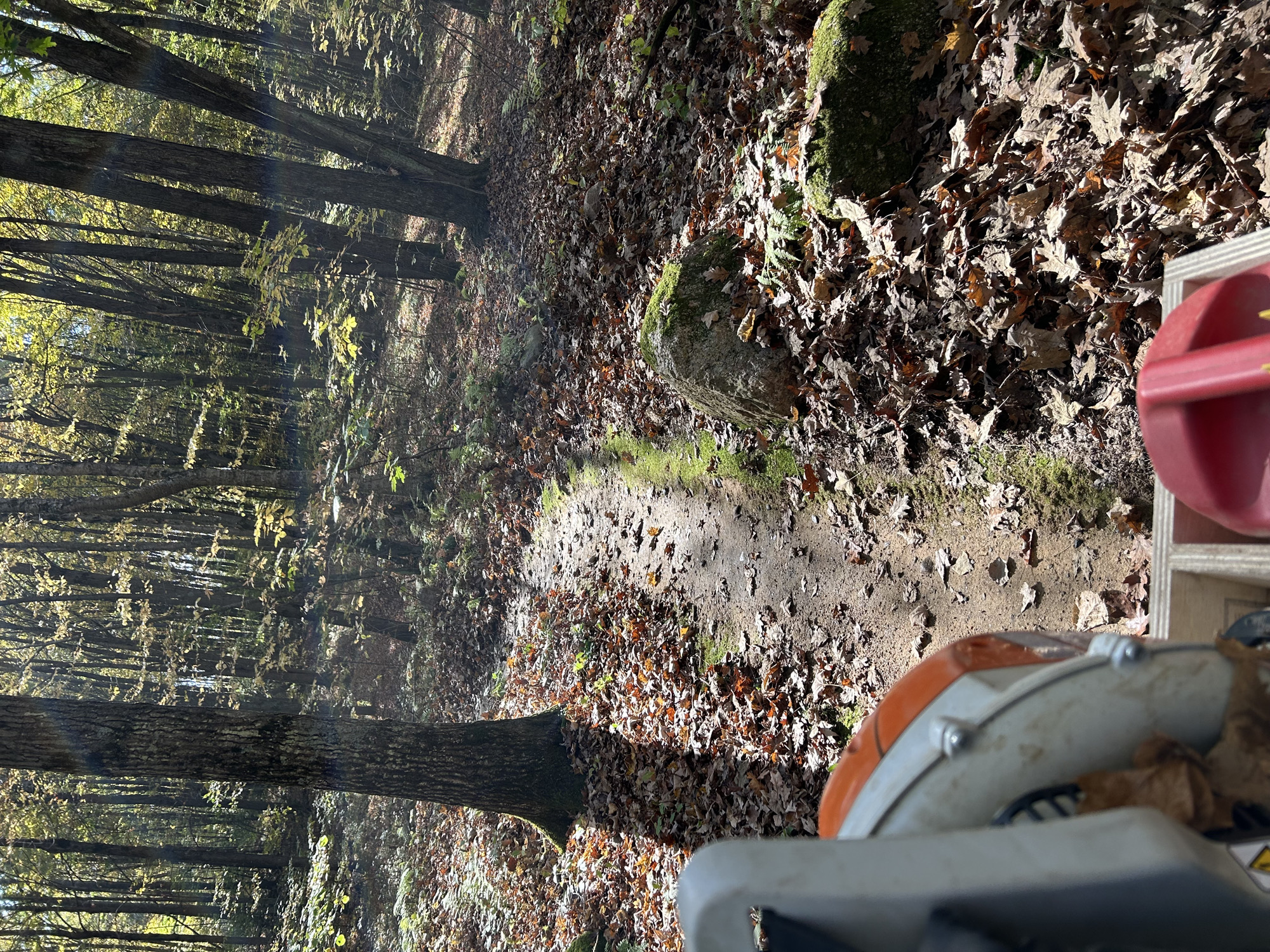 Trail status picture