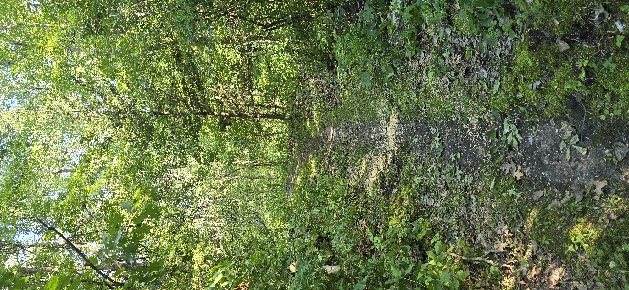 Trail status picture
