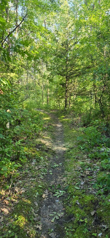 Trail status picture