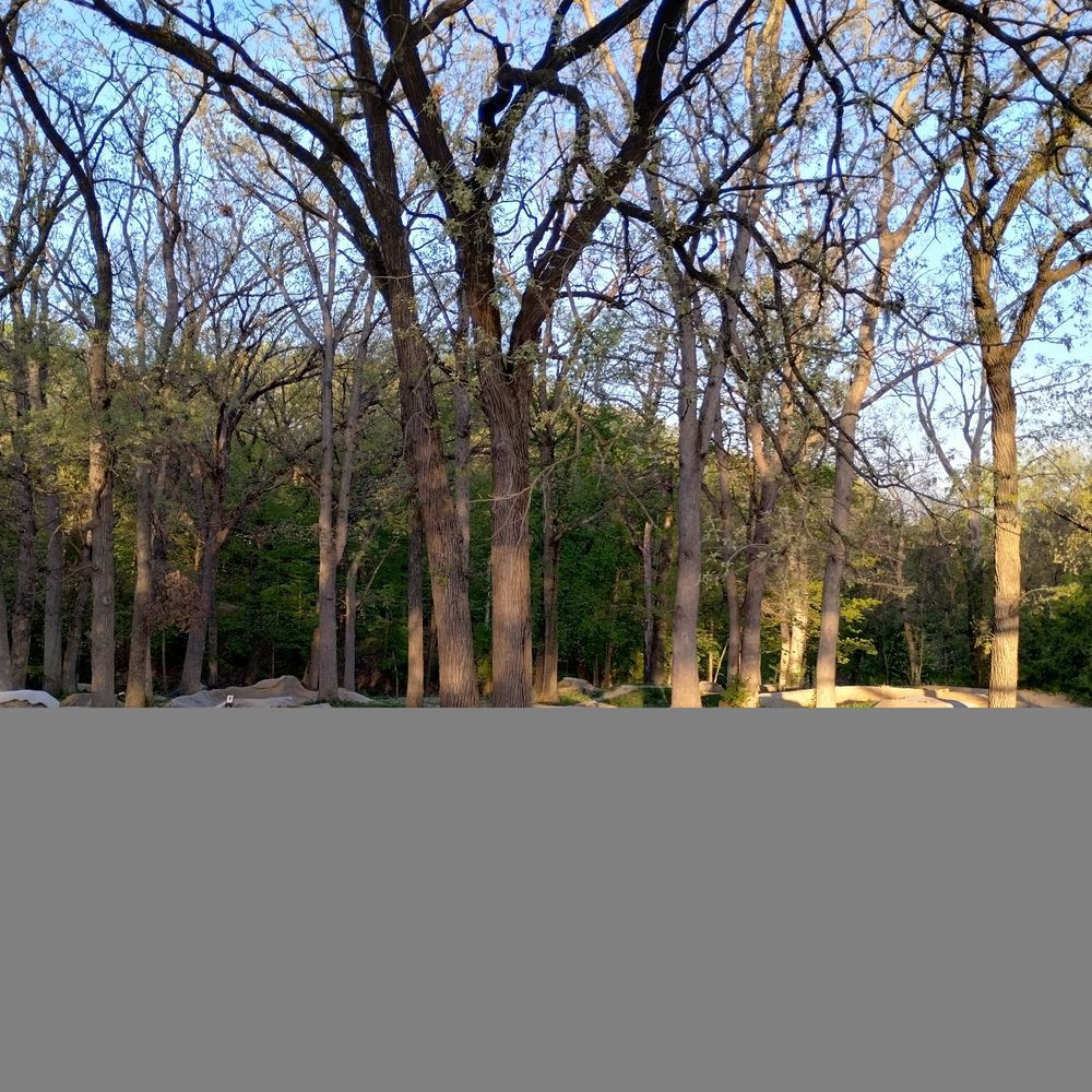 Trail status picture