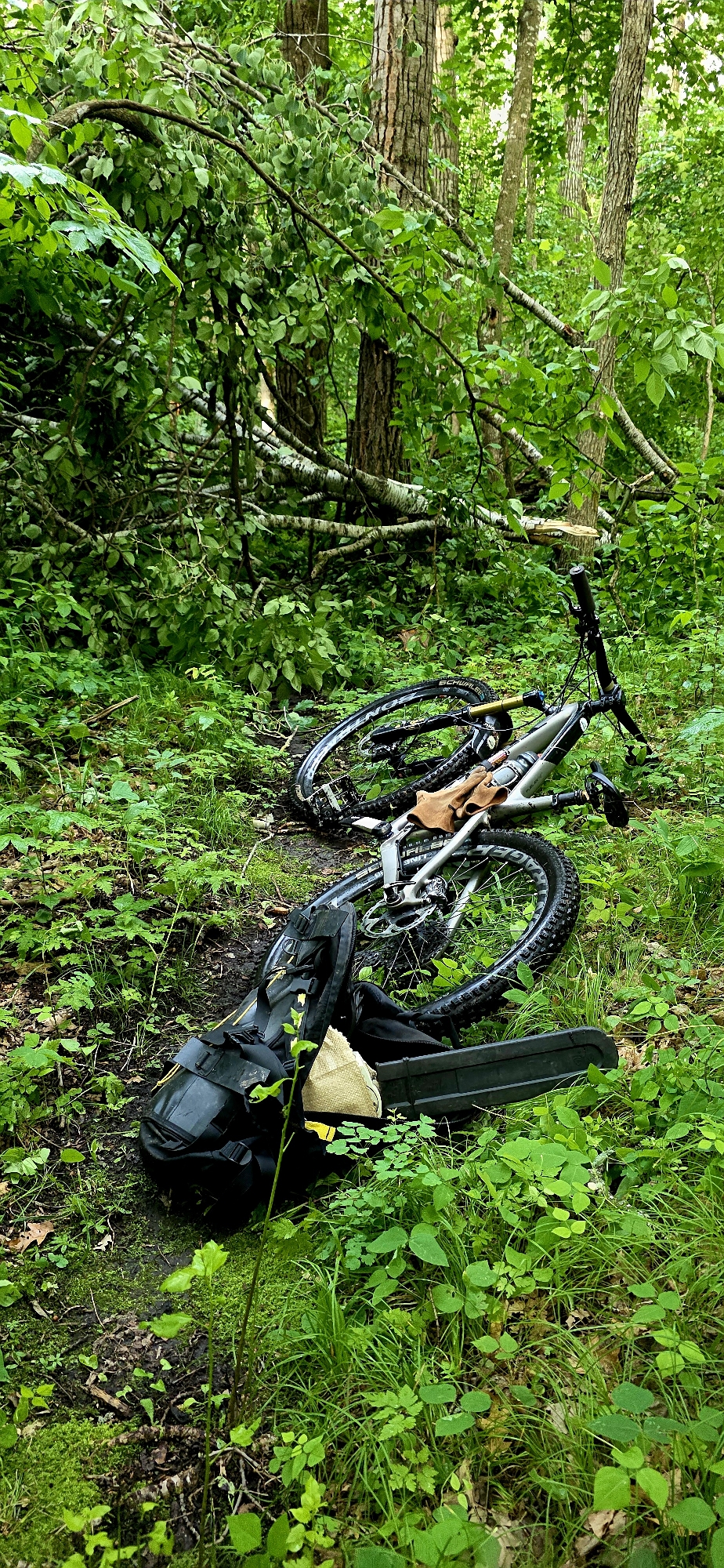 Trail status picture