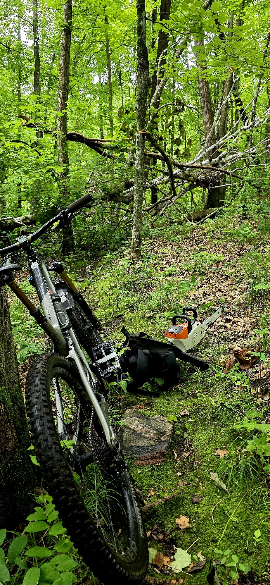 Trail status picture