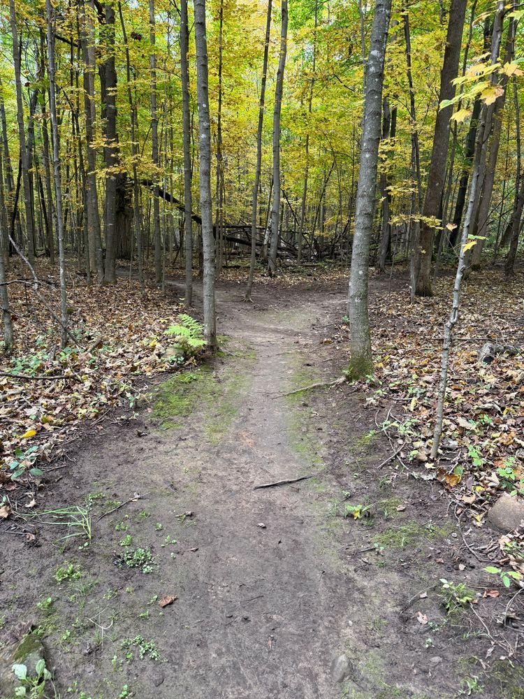 Trail status picture